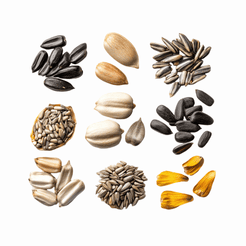 Seeds and Bulbs