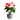 Flowering Plants